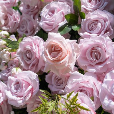 2025 New 3D Fabric Artificial rolling up curtain flower wall - Image 6