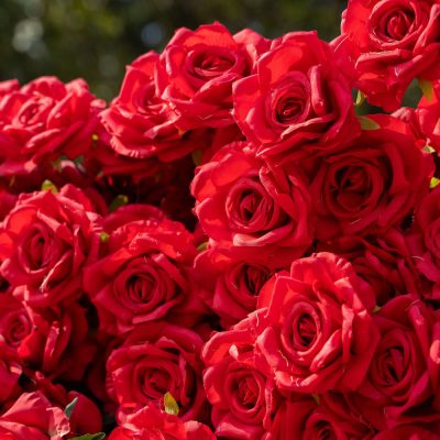 2025 New 3D Fabric Artificial rolling up curtain flower wall - Image 2