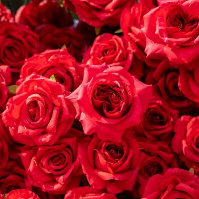 2025 New 3D Fabric Artificial rolling up curtain flower wall - Image 3