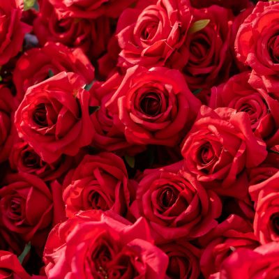 2025 New 3D Fabric Artificial rolling up curtain flower wall - Image 4