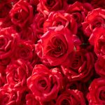 Destiny£º3D Fabric Artificial rolling up curtain flower wall - Image 5