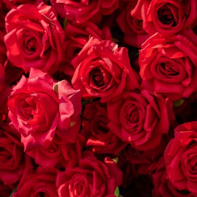 2025 New 3D Fabric Artificial rolling up curtain flower wall - Image 6