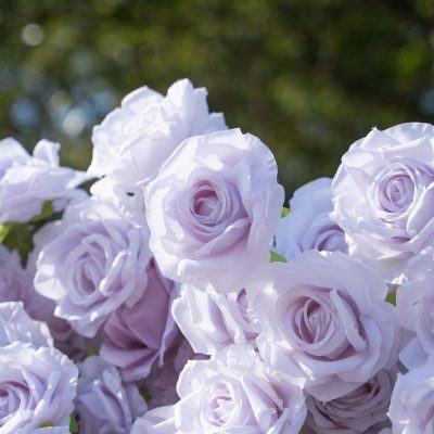 2025 New 3D Fabric Artificial rolling up curtain flower wall - Image 2