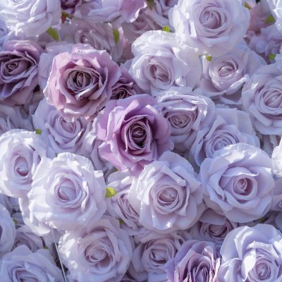 2025 New 3D Fabric Artificial rolling up curtain flower wall - Image 3