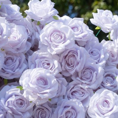 2025 New 3D Fabric Artificial rolling up curtain flower wall - Image 4