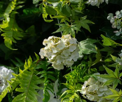 2025 New 5D Fabric Artificial rolling up curtain flower wall - Image 2