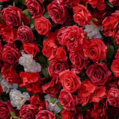 2025 New 3D Fabric Artificial zip up curtain flower wall - Image 5