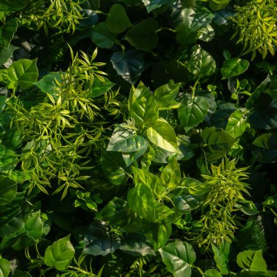 2025 New 3D Fabric Artificial rolling up curtain flower wall - Image 2