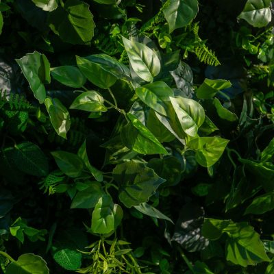 2025 New 3D Fabric Artificial rolling up curtain flower wall - Image 3