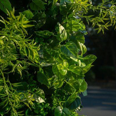 2025 New 3D Fabric Artificial rolling up curtain flower wall - Image 4