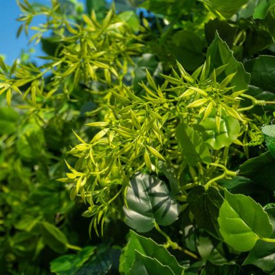 2025 New 3D Fabric Artificial rolling up curtain flower wall - Image 5