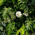 Hristina£º5D Fabric Artificial rolling up curtain flower wall - Image 3