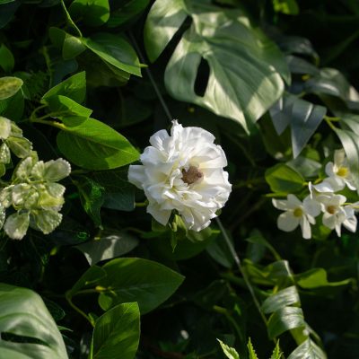 2025 New 5D Fabric Artificial rolling up curtain flower wall - Image 4