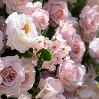 2025 New 3D Fabric Artificial rolling up curtain flower wall - Image 5