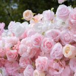 Kissing£º5D Fabric Artificial rolling up curtain flower wall - Image 2