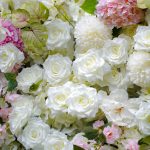 Laila£º7D Fabric Artificial rolling up curtain flower wall - Image 2