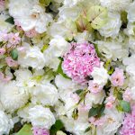 Laila£º7D Fabric Artificial rolling up curtain flower wall - Image 3