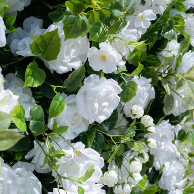 2025 New 3D Fabric Artificial rolling up curtain flower wall - Image 12