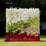 Maia£º7D Fabric Artificial rolling up curtain flower wall