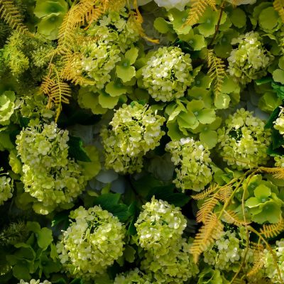 2025 New 7D Fabric Artificial rolling up curtain flower wall - Image 4