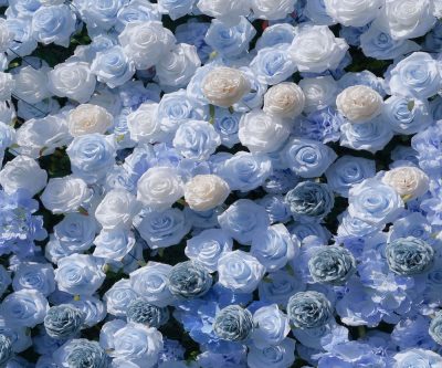 2025 New 5D Fabric Artificial rolling up curtain flower wall - Image 2