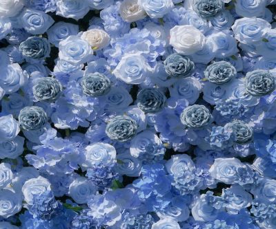 2025 New 5D Fabric Artificial rolling up curtain flower wall - Image 6