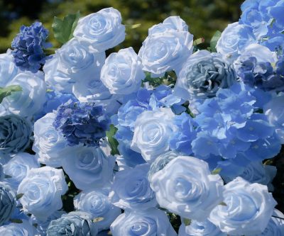 2025 New 5D Fabric Artificial rolling up curtain flower wall - Image 3