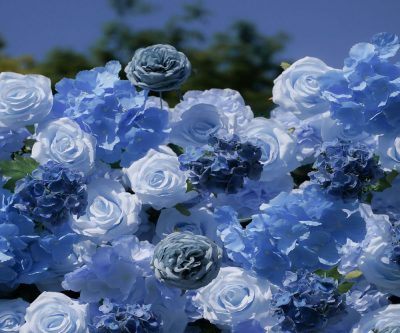 2025 New 5D Fabric Artificial rolling up curtain flower wall - Image 5