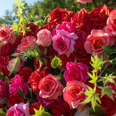 2025 New 5D Fabric Artificial rolling up curtain flower wall - Image 5