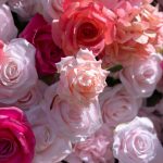 Mariposa£º4D Fabric Artificial rolling up curtain flower wall - Image 6
