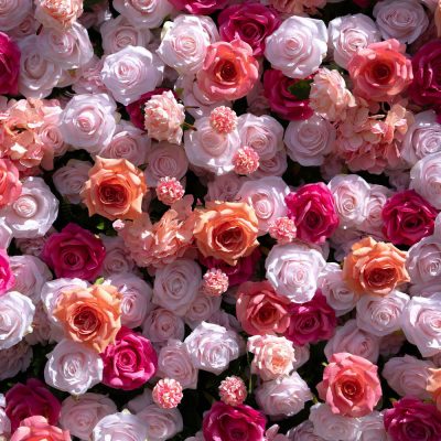 2025 New 4D Fabric Artificial rolling up curtain flower wall - Image 4