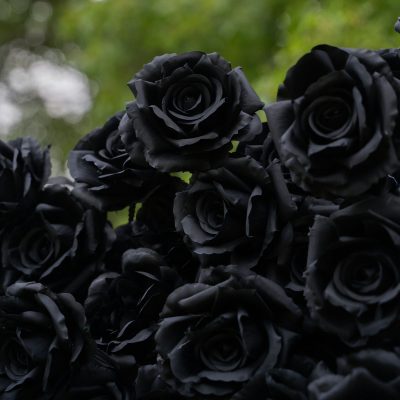 2025 New 3D Fabric Artificial rolling up curtain Black Rose Flower Wall - Image 2