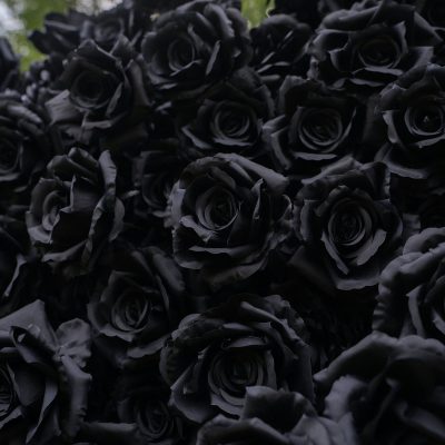 2025 New 3D Fabric Artificial rolling up curtain Black Rose Flower Wall - Image 3
