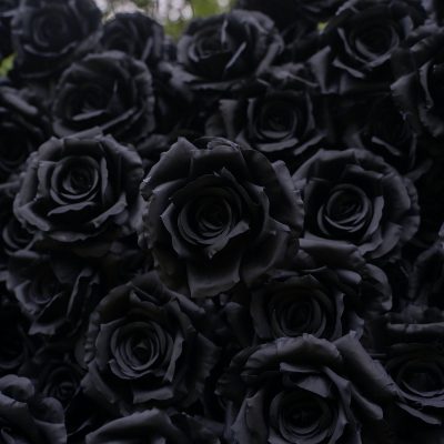 2025 New 3D Fabric Artificial rolling up curtain Black Rose Flower Wall - Image 4