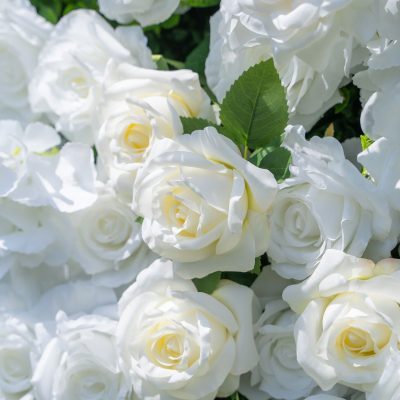 2025 New 3D Fabric Artificial rolling up curtain flower wall - Image 7