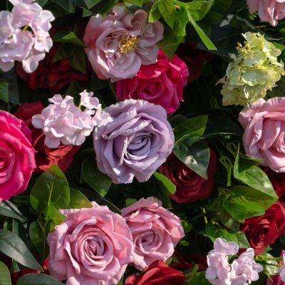 2025 New 4D Fabric Artificial rolling up curtain flower wall - Image 4