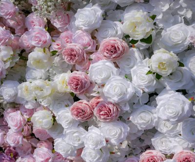 2025 New 5D Fabric Artificial rolling up curtain flower wall - Image 3