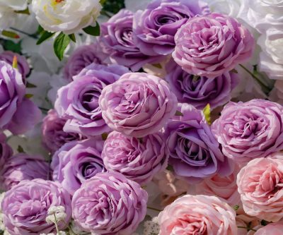 2025 New 5D Fabric Artificial rolling up curtain flower wall - Image 5