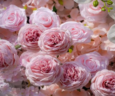 2025 New 5D Fabric Artificial rolling up curtain flower wall - Image 6