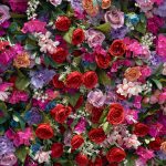 NooZay£º7D 2025 Fabric Artificial rolling up curtain flower wall - Image 3
