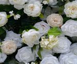 Peonies£º5D Fabric Artificial rolling up curtain flower wall - Image 3