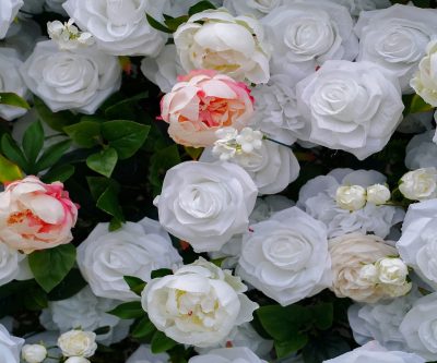 2025 New 5D Fabric Artificial rolling up curtain flower wall - Image 4