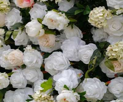 2025 New 5D Fabric Artificial rolling up curtain flower wall - Image 5