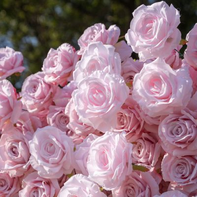 2025 New 3D Fabric Artificial rolling up curtain flower wall - Image 2