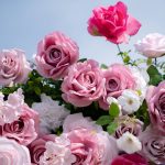 Rosalie£º3D Fabric Artificial rolling up curtain flower wall - Image 5