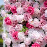 Rosalie£º3D Fabric Artificial rolling up curtain flower wall - Image 8