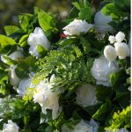 Sanna£º5D Fabric Artificial rolling up curtain flower wall - Image 2