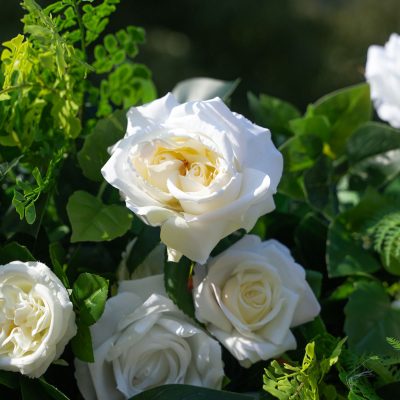 2025 New 5D Fabric Artificial rolling up curtain flower wall - Image 4