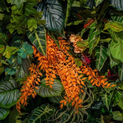 2025 New 7D Fabric Artificial rolling up curtain flower wall - Image 2