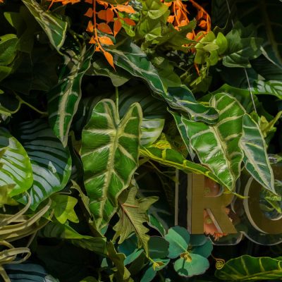 2025 New 7D Fabric Artificial rolling up curtain flower wall - Image 3